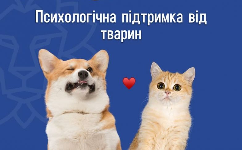 Психологічна підтримка від тварин – Сільпо