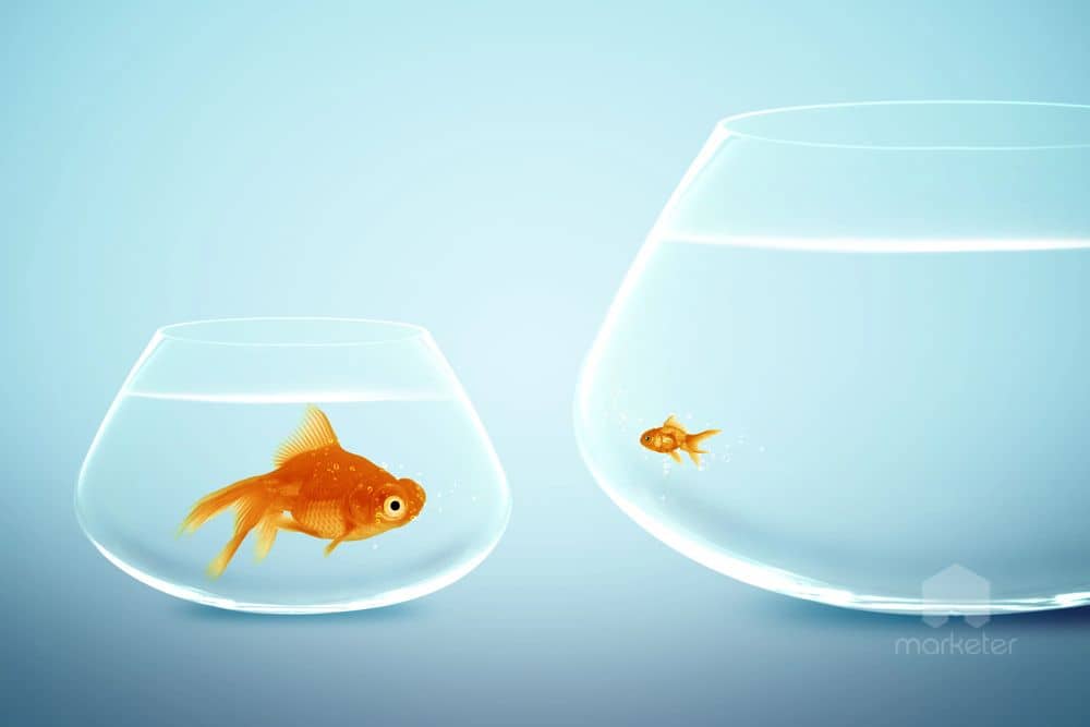 Ефект контрасту в маркетингу: як ми приймаємо рішення через порівняння (і як це використовують бренди)