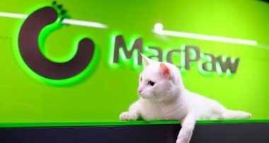 Кіт Гувер, один із мешканців офісу компанії MacPaw. Джерело: mind