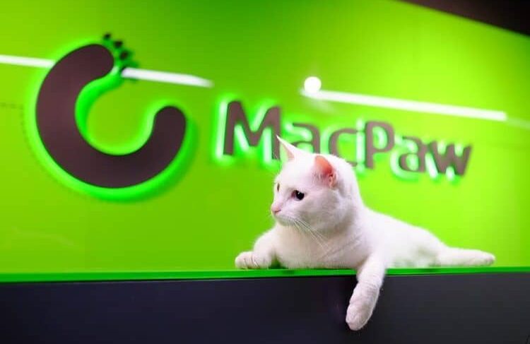 Кіт Гувер, один із мешканців офісу компанії MacPaw. Джерело: mind