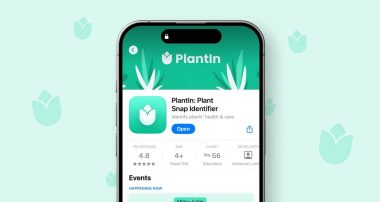 PlantIn