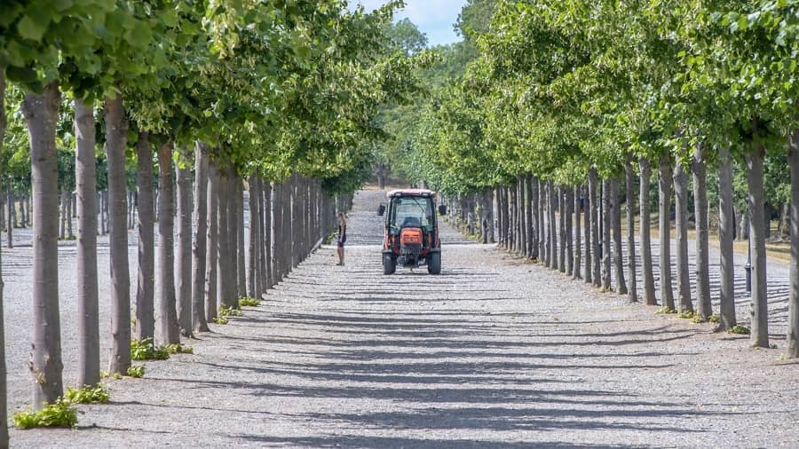 Як вибрати мінітрактор для тваринництва: фронтальний навантажувач, ківш, вила?