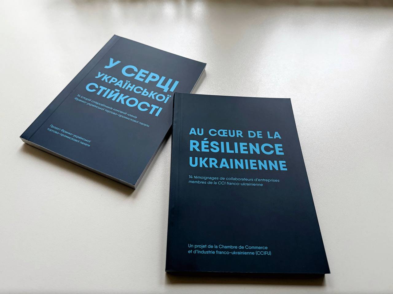 Люди, завдяки яким тримається бізнес: французький та український досвід роботи під час війни