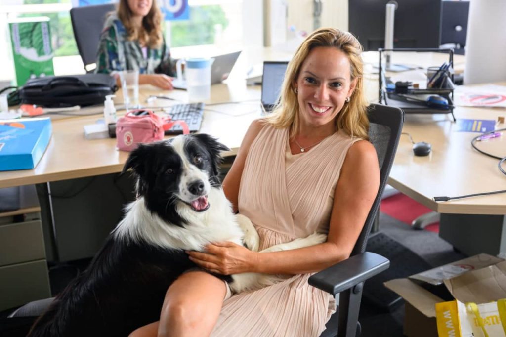 Pet-friendly офис