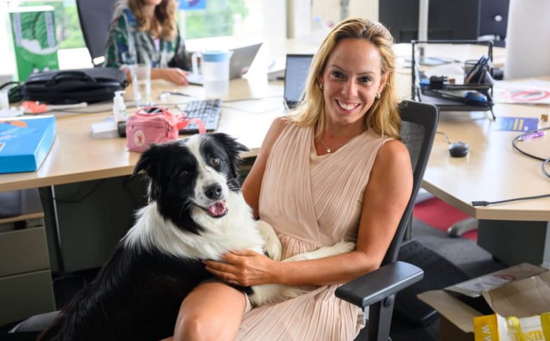 Pet-friendly офис