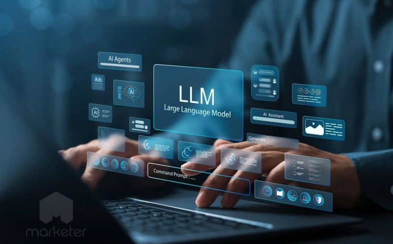 LLM