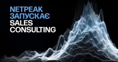 Netpeak Sales Consulting