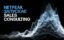 Netpeak Sales Consulting